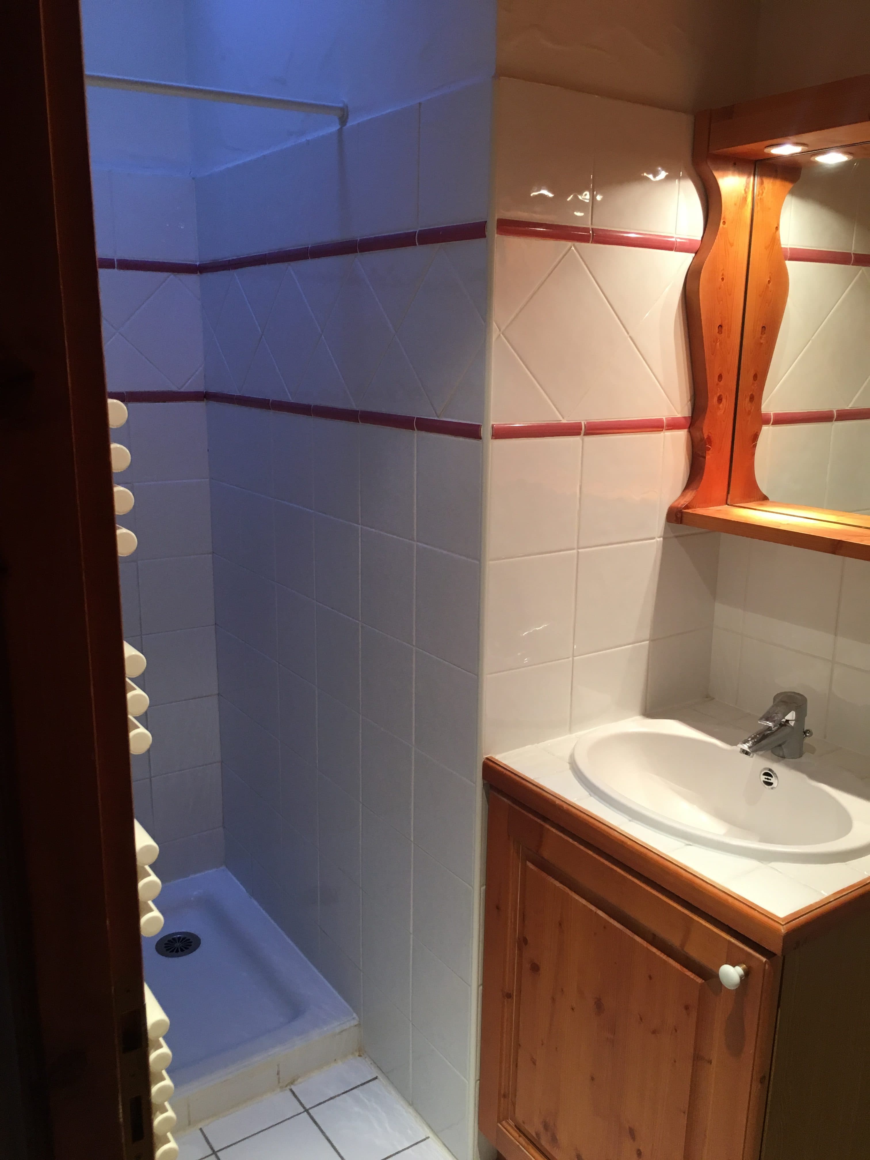 Badkamer met douche en wastafel